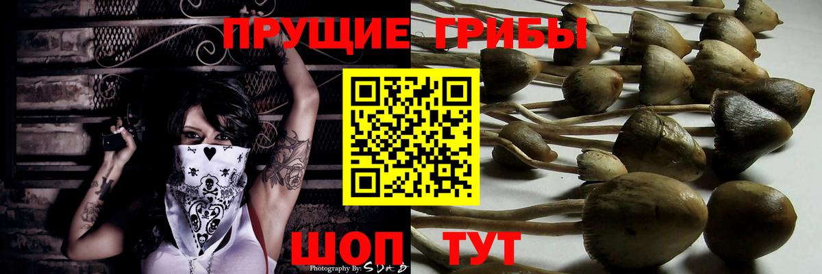 Псилоцибиновые грибы Magic Shrooms Сорочинск